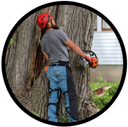 SiTech | Building Site Models